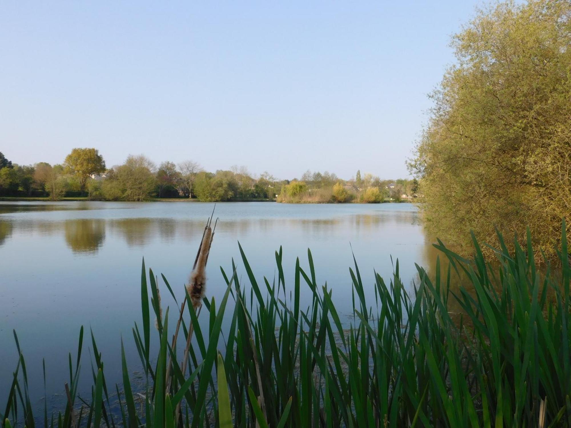 Village De Gites Nature Et Jardin Bouere Exterior foto
